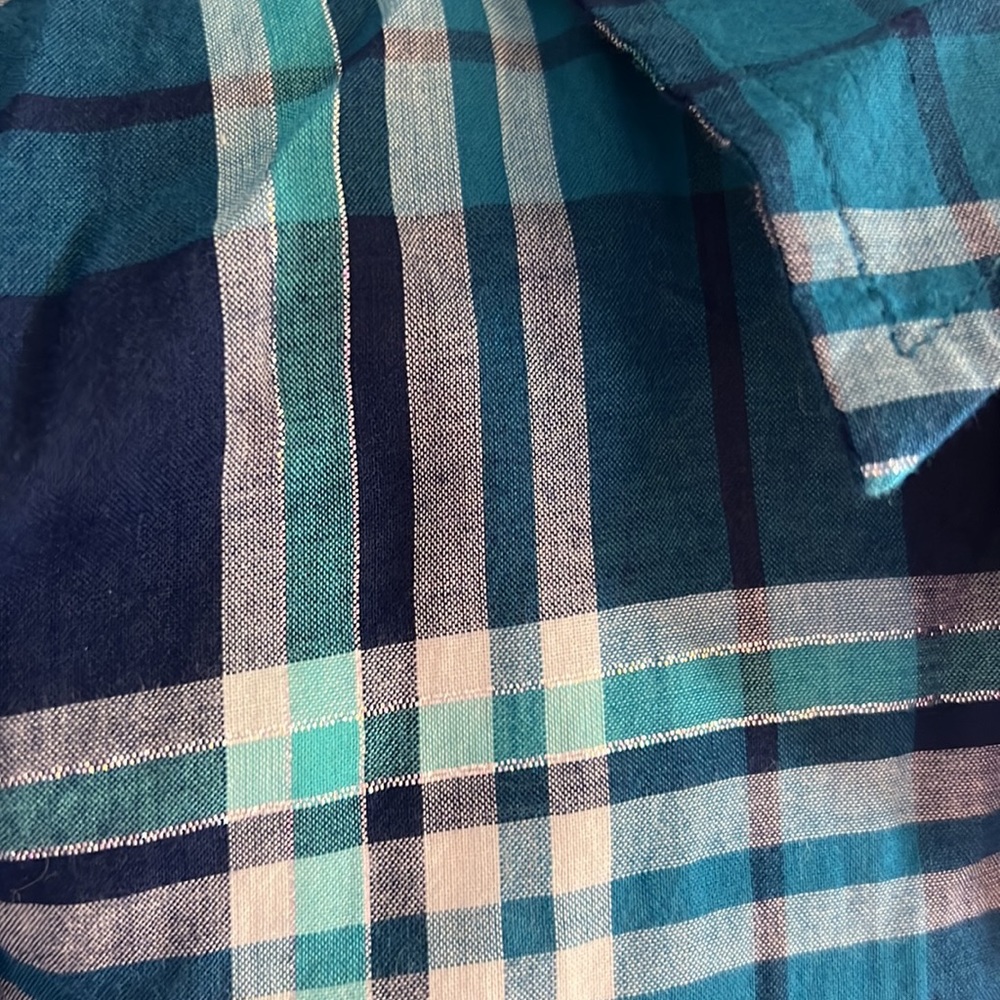 Button Down - Picture 6 of 7